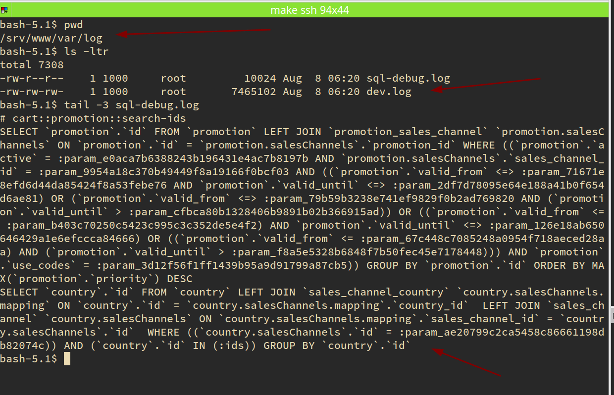 Terminal that display folder, file and output of MySQL debug result.