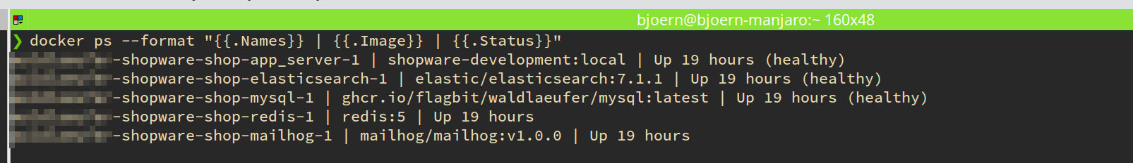 Output from docker command that shows the running docker containers